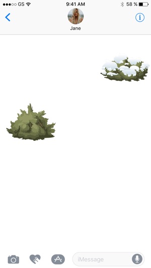 布什 - 植物(圖2)-速報App