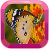 Puzzle Butterfly Games Jigsaw For Kids Edition