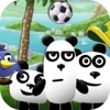 Pandas In Brazil3 - Pets Adventure