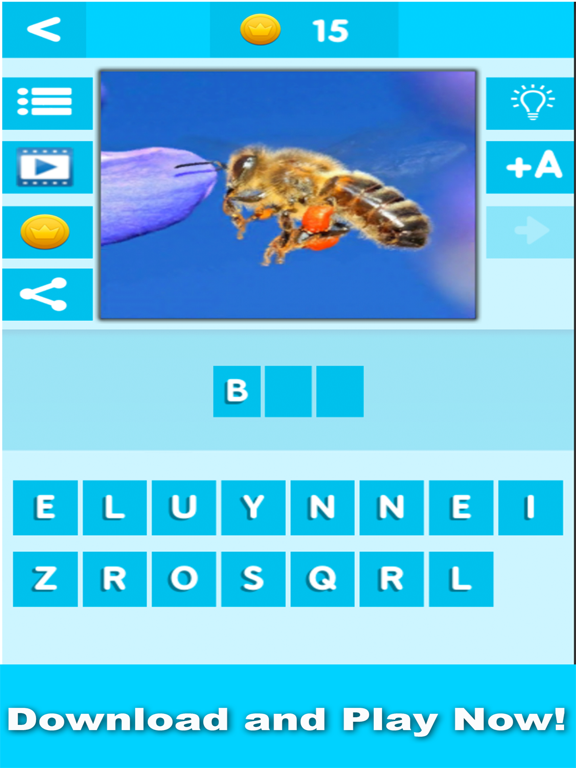 Animal Quiz Close Up : Guess the Word Trivia Games iPad screenshot 4 - Games app