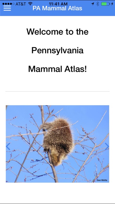 PA Mammal Atlas screenshot 2