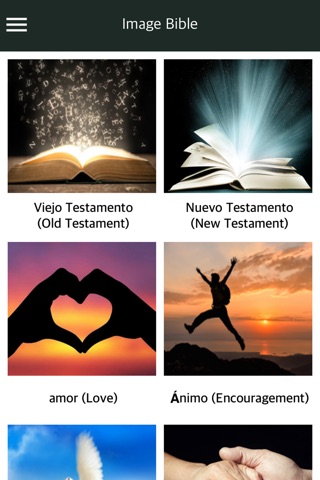 La Santa Biblia con audio screenshot 4