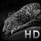 Animals HD WallPapers is a full featured wallpaper app that features tons of high quality Animals themes, screens and customisations to help your device look unique