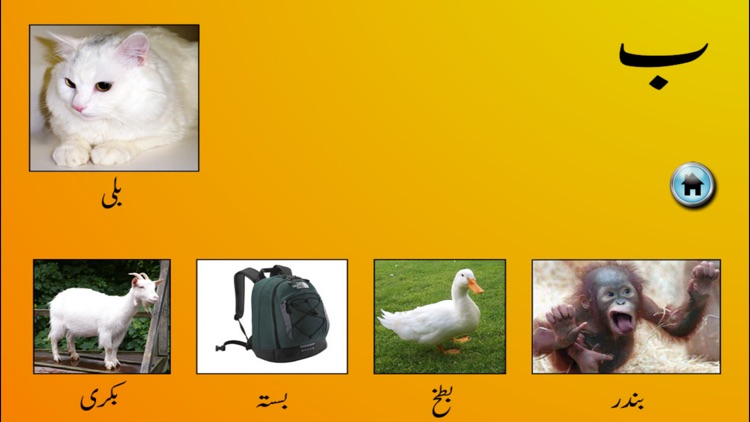 My First Book of Urdu HD