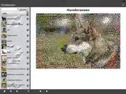 hunderassen ipad bildschirmfoto 1