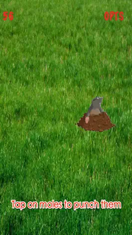 Game screenshot Whack A Mole - Smack Hamster mod apk