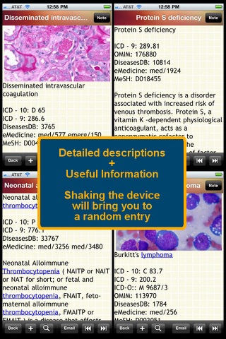 Blood Disorders Encyclopedia - náhled