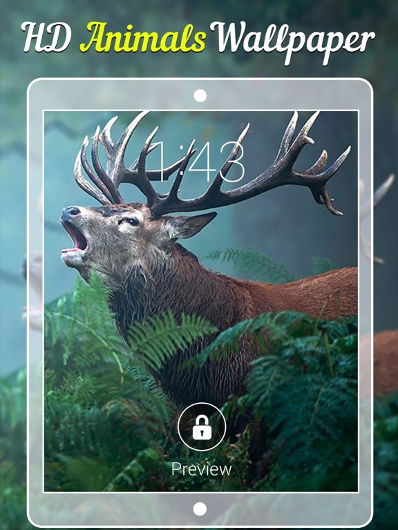 Animal Wallpapers & Backgrounds iPad screenshot 4 - Shopping app