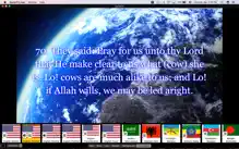 Quran TV iPhone image 4