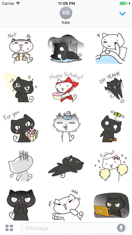 Black and White Couple Cat 2