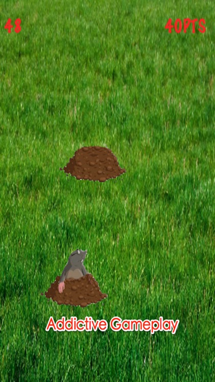 Animals World: Cartoon Moles Tap Premium