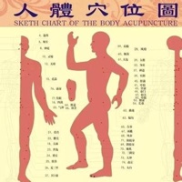 人体穴位图与指压法按摩治疗疾病 pour PC