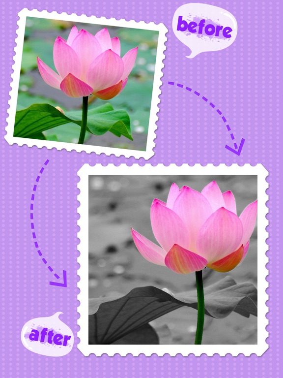 Color Editor - Photo Recolor & Background Eraserのおすすめ画像4