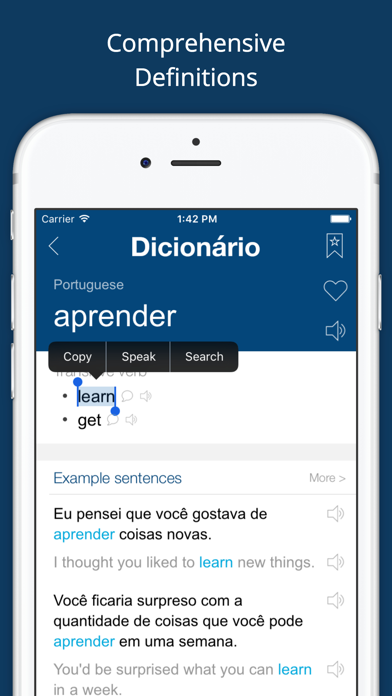 Portuguese English Dictionary* Screenshot