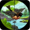 Bird Hunting Shooter 2017