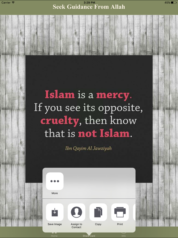 1000+ Islamic Inspirational Quotes iPad screenshot