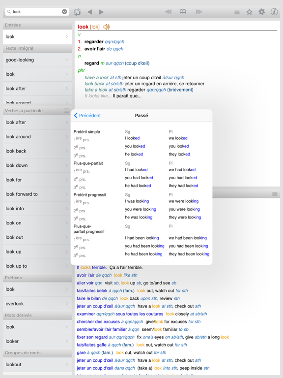 Screenshot #6 pour Dictionnaire anglais-français Lingea