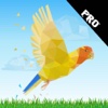 A Bird Flying In The Forest PRO