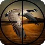 Wild Bird Hunting Silent Sniper Shooting