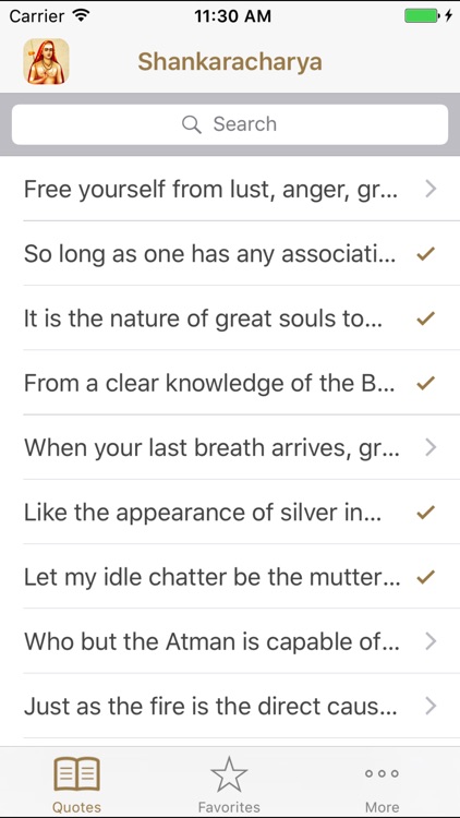 Adi Shankara Quotes and Sayings of Advaita Vedanta