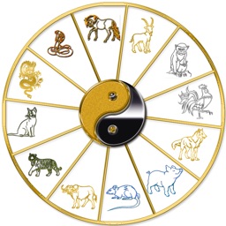 Vận Mệnh Đời Người