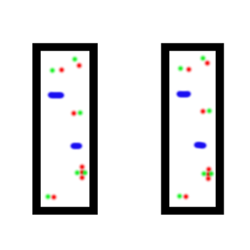 UnDupe. Find and remove duplicate files.