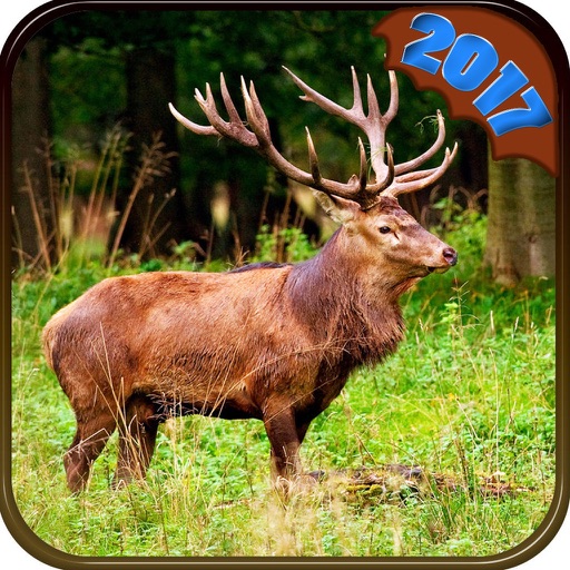 20K7 Deer Hunting Adventure Pro icon