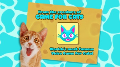 How to cancel & delete Squishy Fishy Kitty Toys: A Game for Cats from iphone & ipad 3