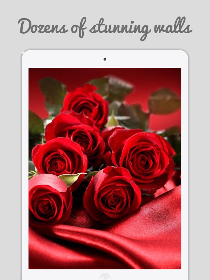 Trendy Roses - Best Collection of Rose Wallpapers