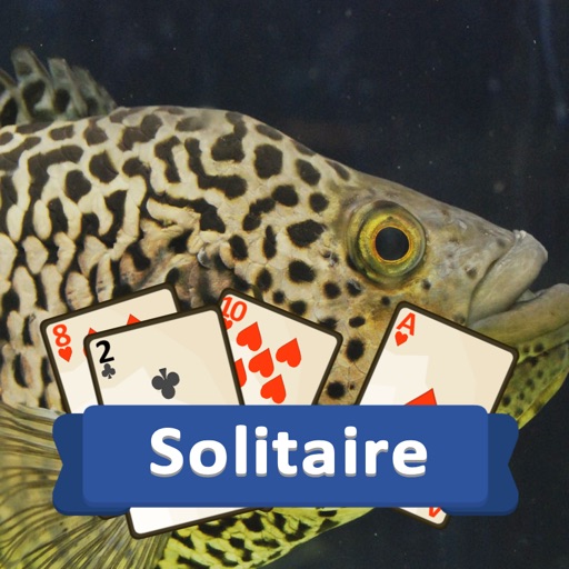 Solitaire Marine Life iOS App