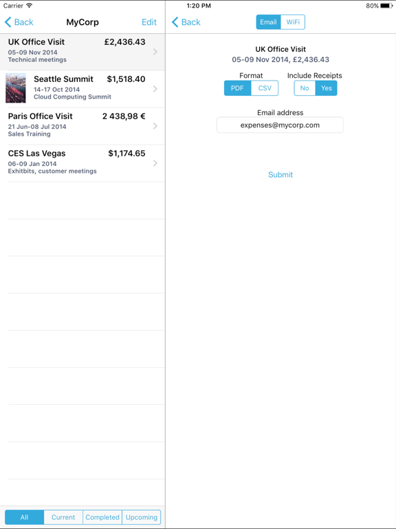 BizExpense iPad screenshot 5 - Finance app