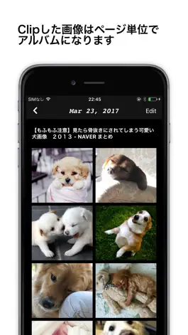 Game screenshot Scrapbook - Webページの画像にいつでもアクセスできるアプリ apk