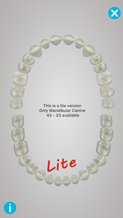 Dental Corpus Anatomy Lite