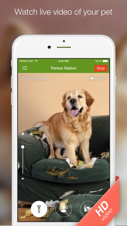 Dog Monitor