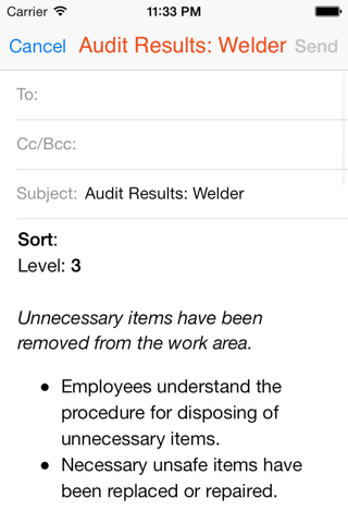 5S Audit screenshot 4