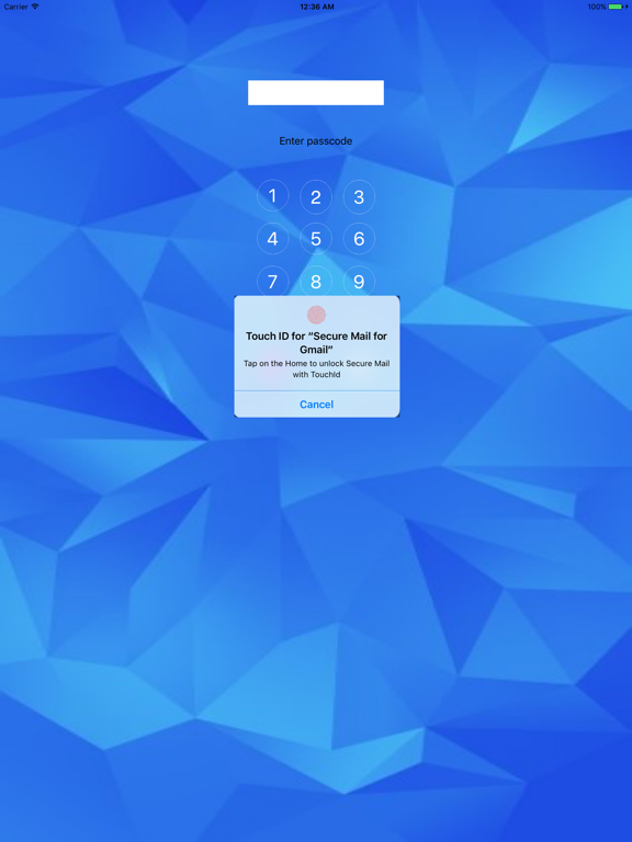 Screenshot #4 pour Secure Mail for Gmail: safe email with TouchID