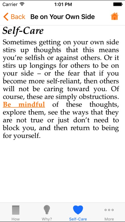 Buddha's Brain screenshot-3