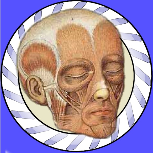 Speed Muscles MD App Icon - Benoit Essiambre