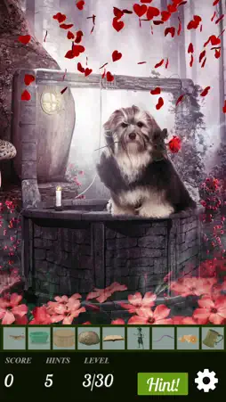 Hidden Object - Be Mine screenshot 3