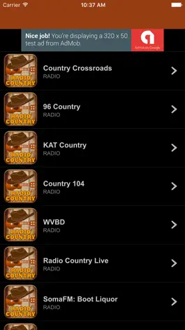 Game screenshot Country Radio Stations apk