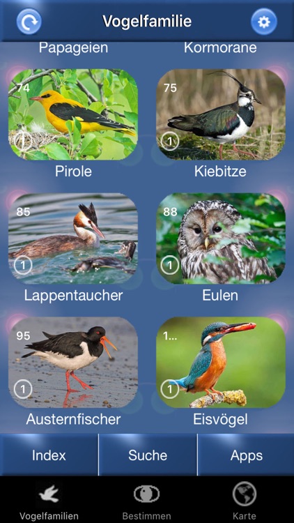 BirdId - Garden Birds of Germany