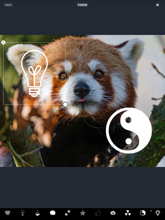 Screenshot #5 pour photo cam editor - easy filters effects borders