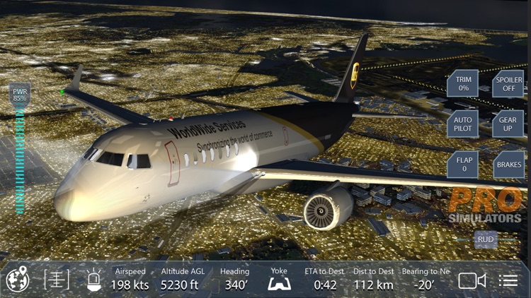 Pro Flight Simulator New York
