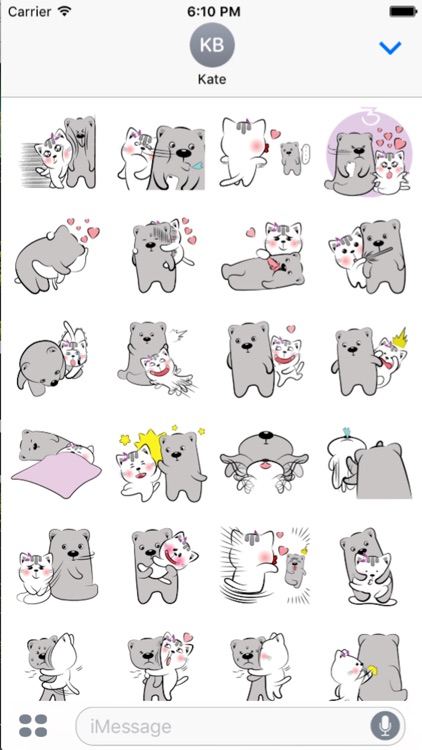 Cat and Bear Lovely