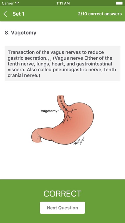 Surgical First Assistant