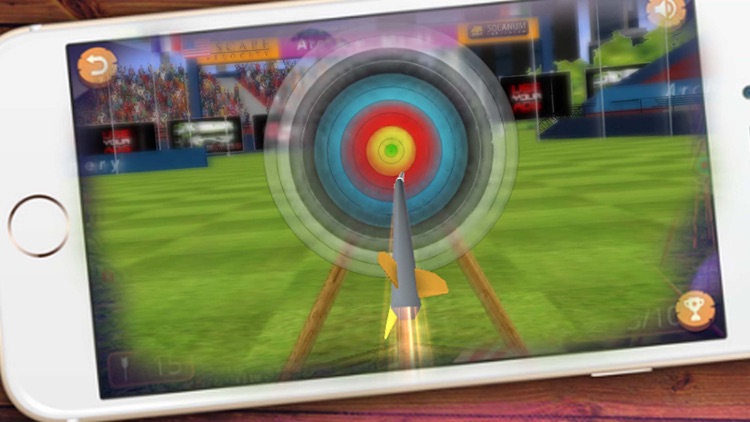 Archery Master 3D Cup