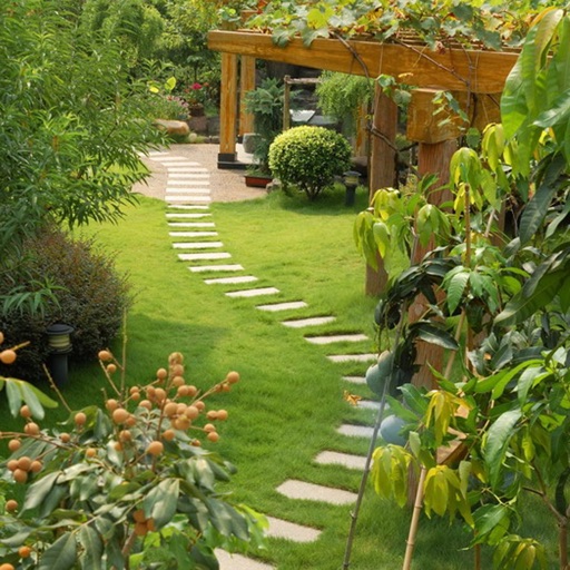 Yard and Garden Design Ideas & Gardening Ideas