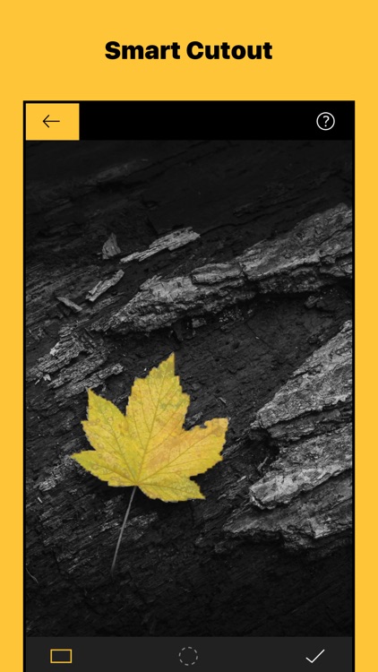 Color Splash Pop - Retouch Pic screenshot-3