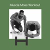 Muscle mass workout