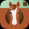 All Ears Selfie makes it easier and faster to capture the perfect photo of your horse